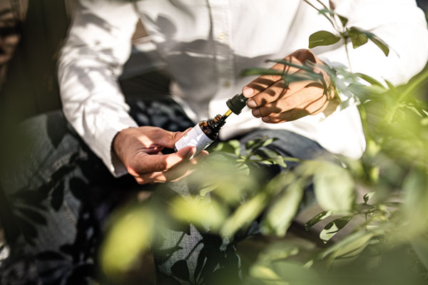 Anwendungsempfehlung CBD-Öl Anwendungsempfehlung CBD-Öl