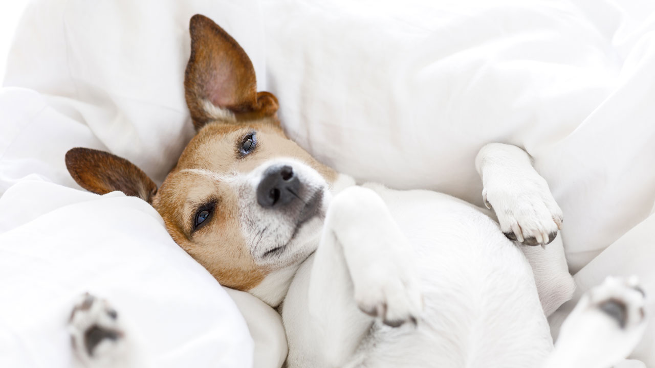 Für die Bewegungsfreude Für die Bewegungsfreude