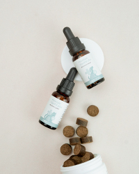 CBD für Tiere