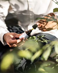 Mit dem kraftvollen Pflanzenstoff Cannabidiol Mit dem kraftvollen Pflanzenstoff Cannabidiol
